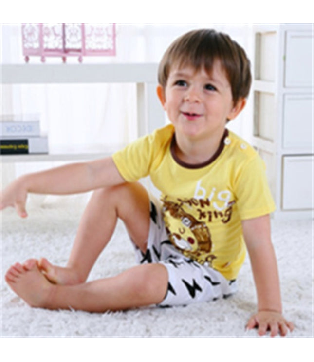 Cartoon Clothing Baby Boy Summer Clothes T-shirt Baby Girl Casual Clothing Sets