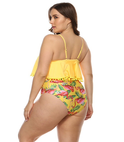 Fat woman bikini