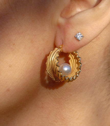 Creative Design Pearl Shell Eardrops